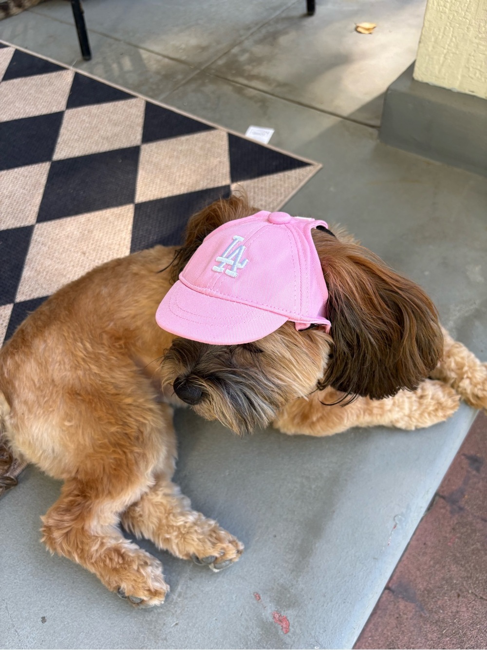 LA Logo Pink & Blue Dog Cap with Adjustable Strap